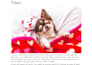 write SEO cat parenting article and pet care blog